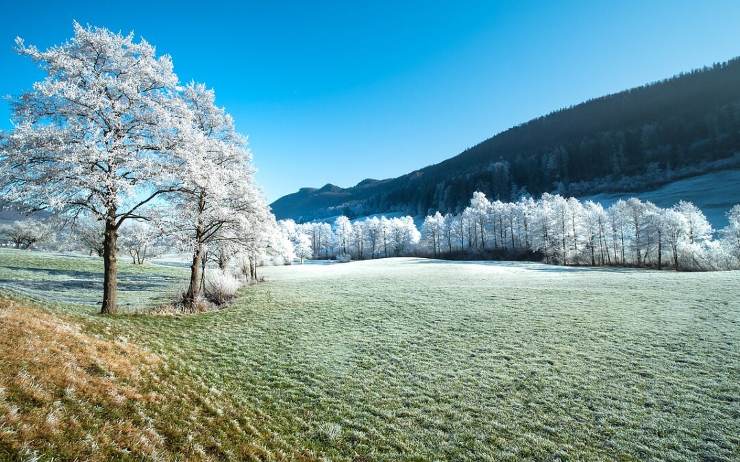 Steamboat Springs Winter Adventure Packages | Your Winter Wonderland Awaits:…