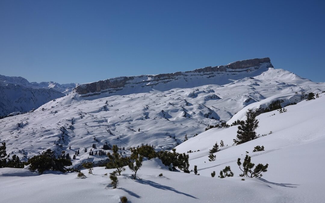 Steamboat Backcountry Skiing / Escape The Crowds And Conquer The…