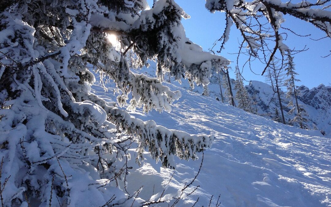 Steamboat Backcountry Skiing | Unleash Your Inner Explorer: Backcountry Skiing…