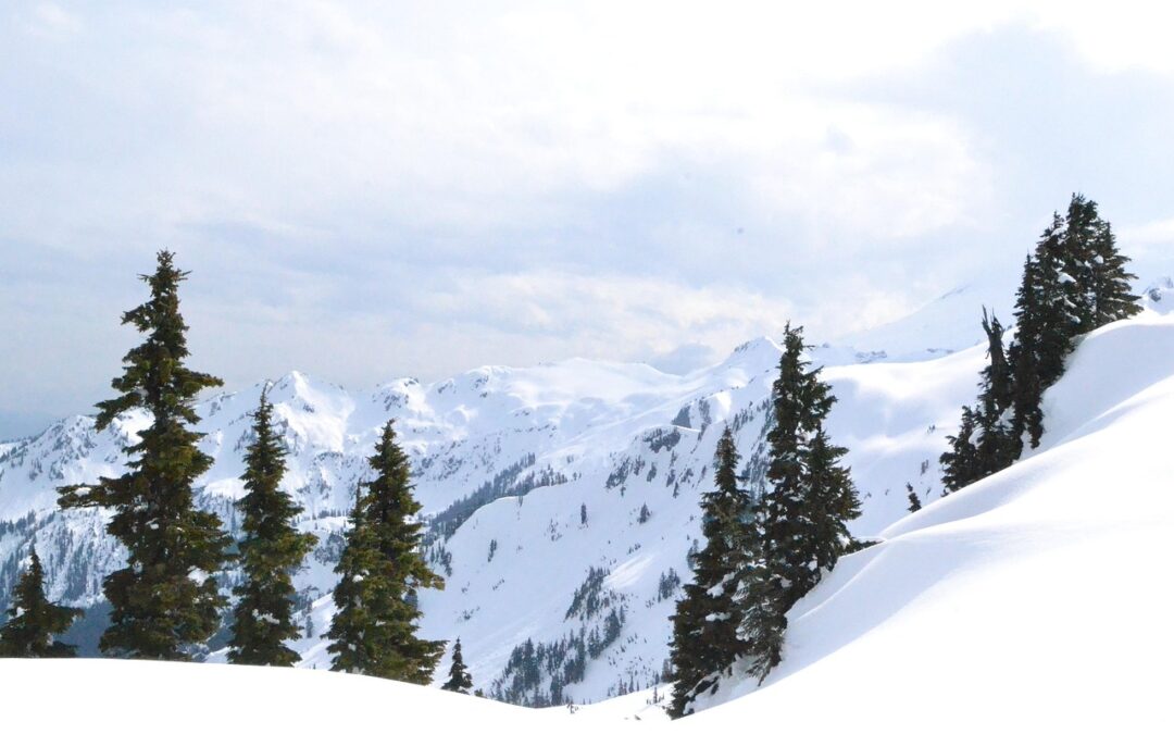 Steamboat Backcountry Skiing / Discover Steamboat Springs’ Untamed Winter Wonderland…