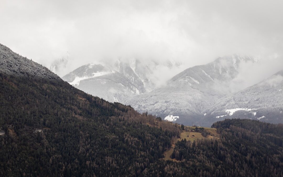 Snowcat Tour | Embark On An Unforgettable Snowcat Tour In…