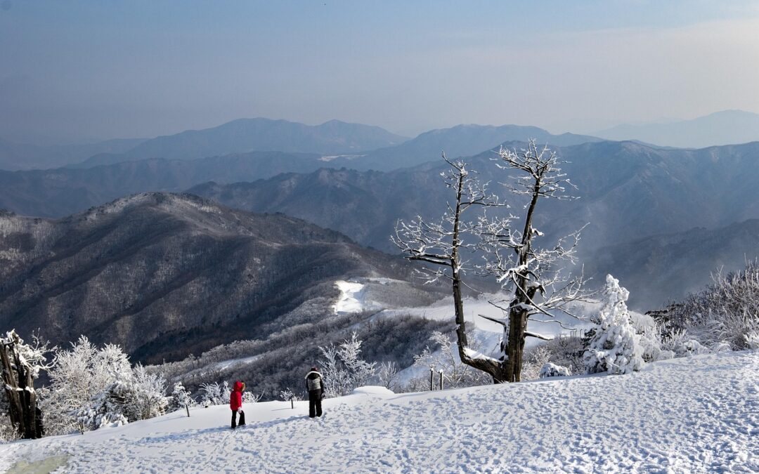 Steamboat Snowcat Tour ~ Embark On An Unforgettable Steamboat Snowcat…