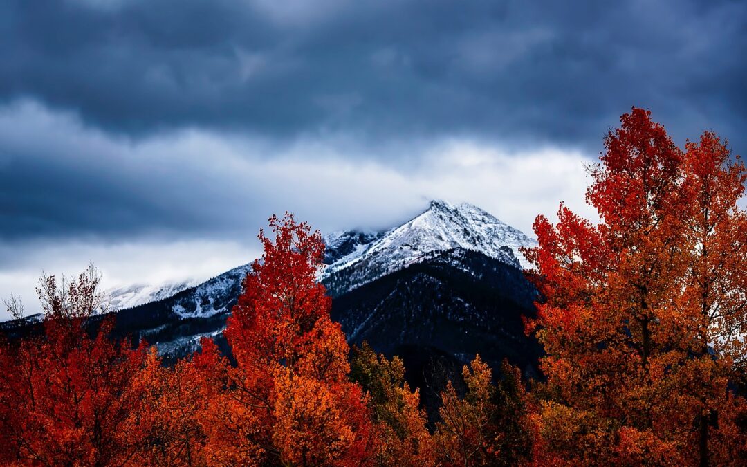 Snowcat Skiing Colorado | Powder Paradise: Your Ultimate Guide To…