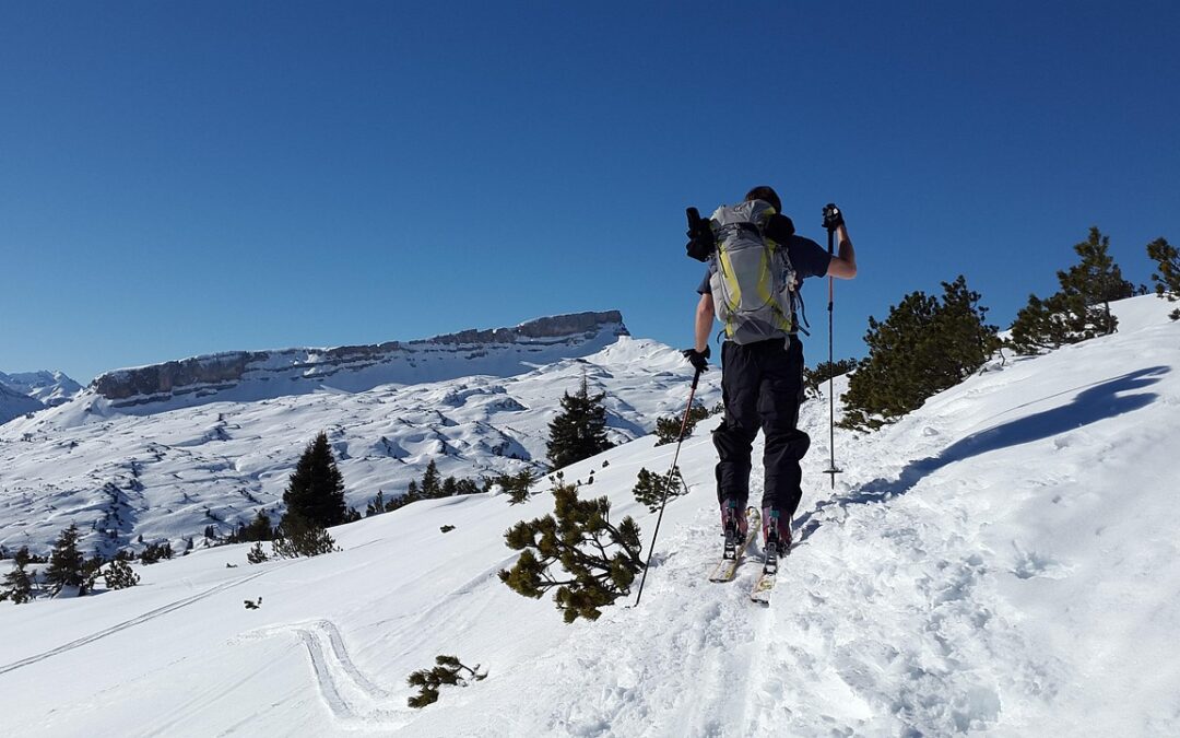 Snowcat Skiing Steamboat Springs Photos: Unleash Your Inner Powder Hound:…