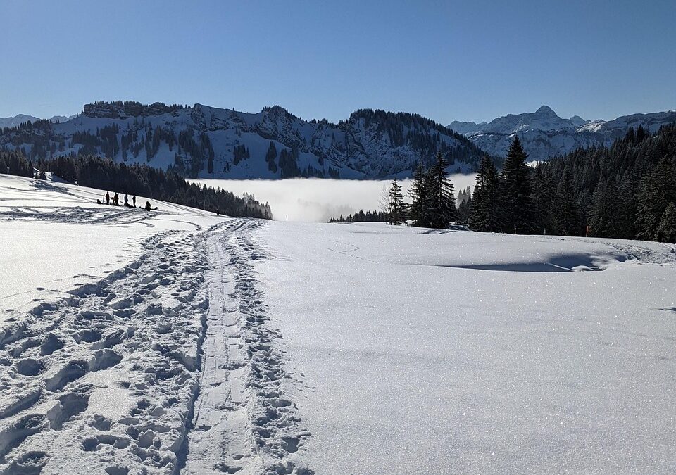 Steamboat Powdercats Backcountry Tours » Escape To The Untamed: Experience…