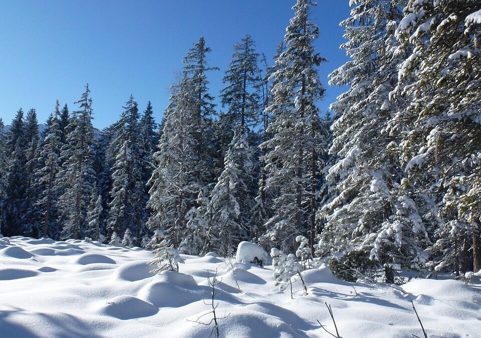 Steamboat Springs Backcountry Snowcat Adventures – Escape To The Powder…