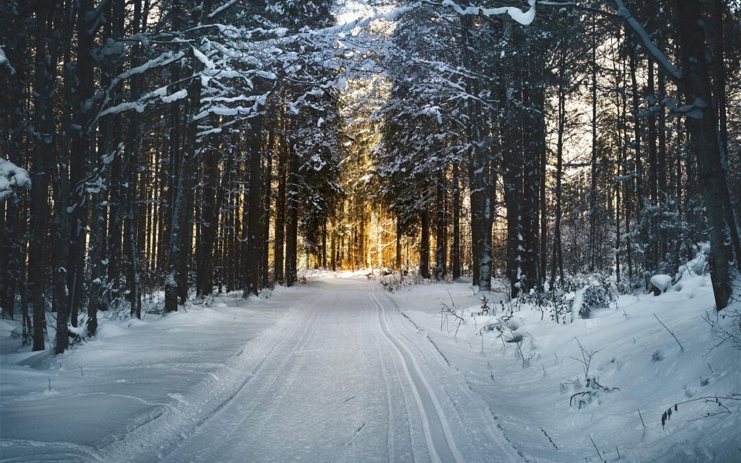 Steamboat Springs Night Snowcat Skiing – Escape The City Lights:…