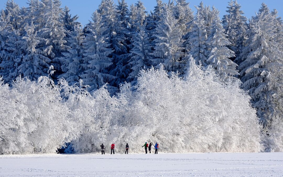 Steamboat Springs Winter Adventure Packages ~ Escape To The Snowy…