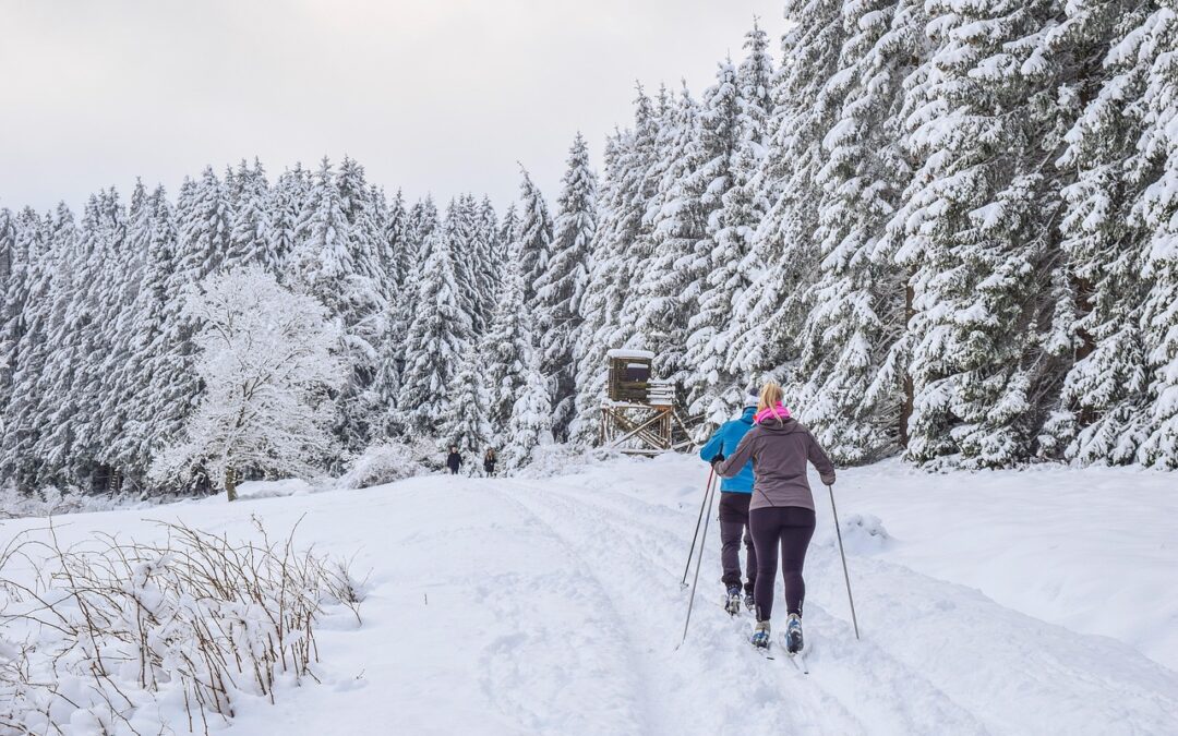 All-inclusive Snowcat Skiing Steamboat Springs: Unleash Your Inner Adventurer: Discover…
