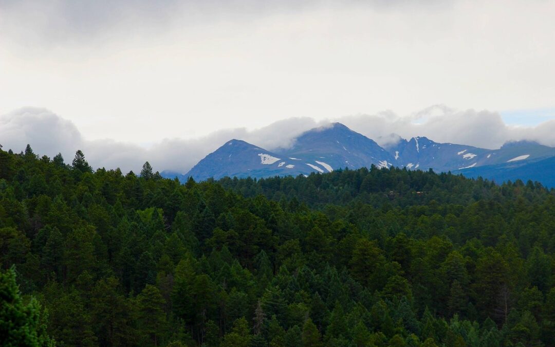 Snowcat Skiing Colorado Rockies: Experience The Majesty Of The Colorado…