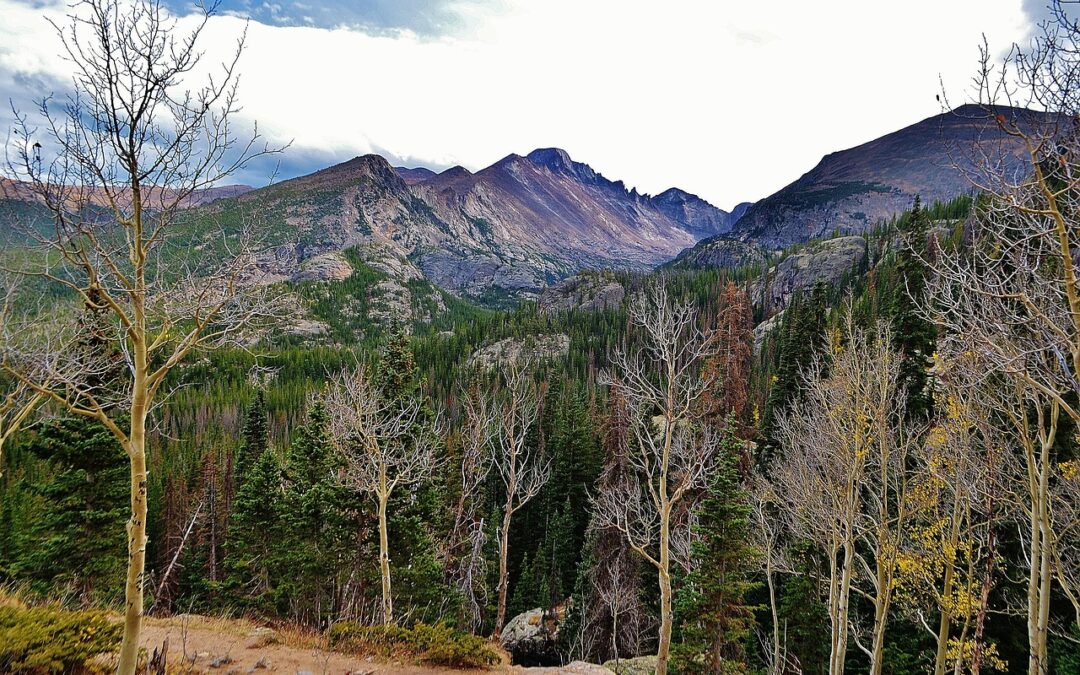 Snowcat Skiing Colorado Rockies ~ Escape To Steamboat Springs: Your…