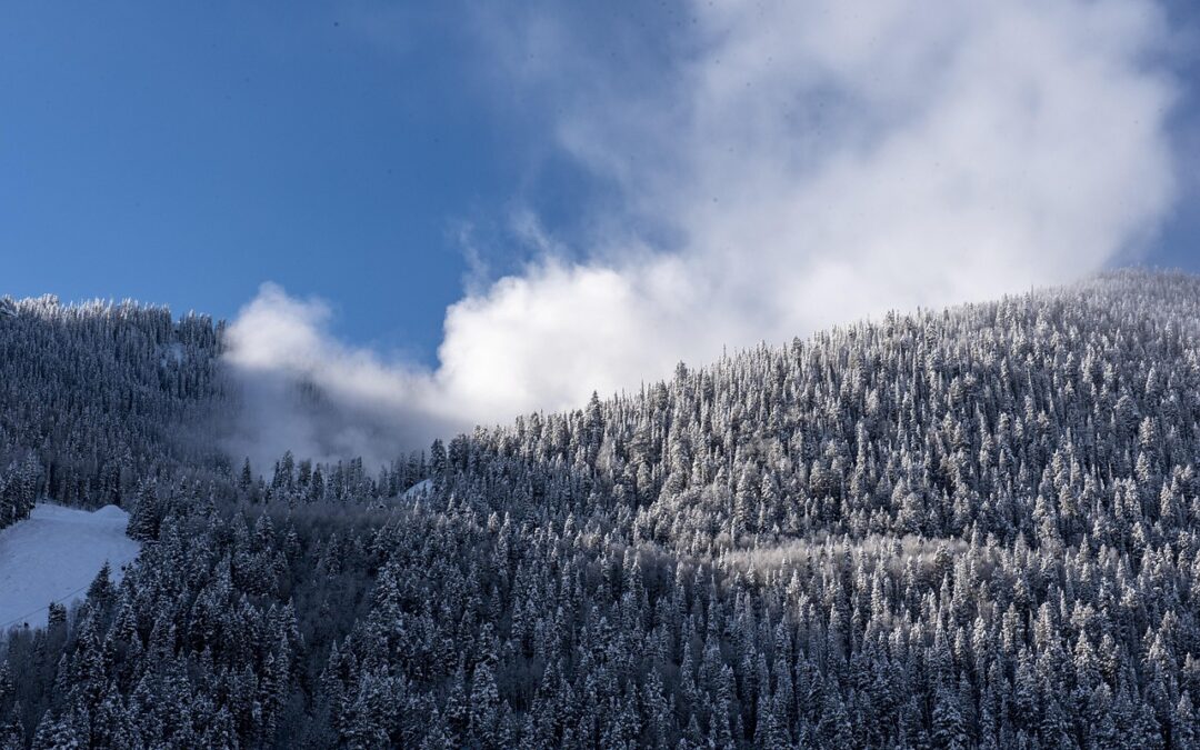 Snowcat Skiing Colorado | Unleash Your Inner Adventurer: Epic Snowcat…