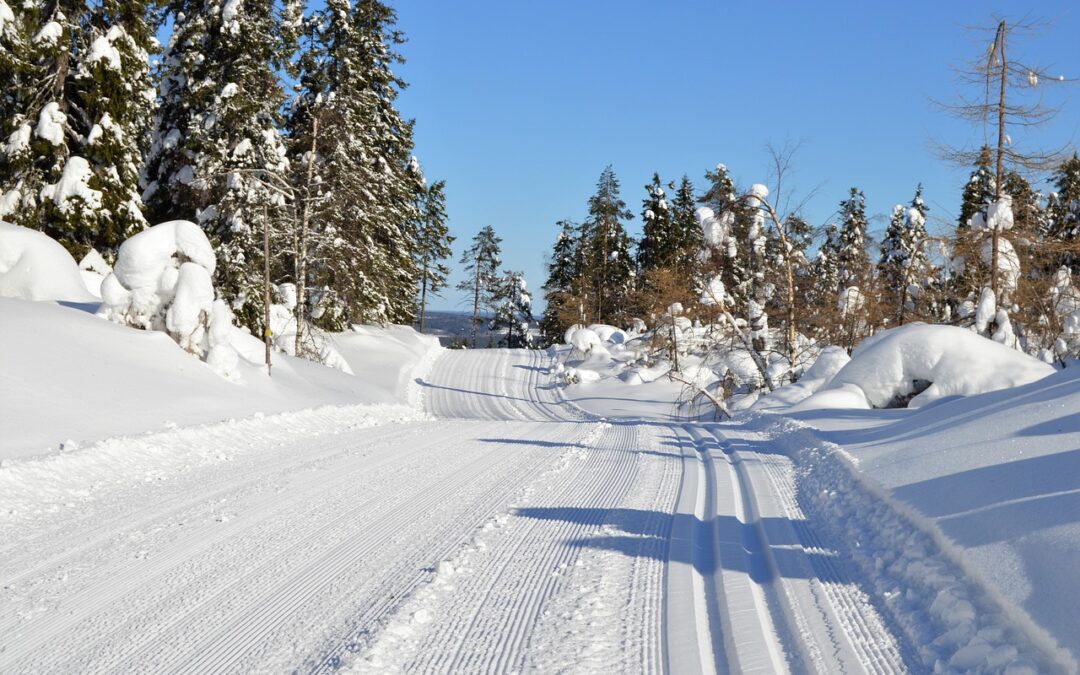 Snowcat Skiing Colorado / Steamboat Springs: Your Adventure Awaits In…