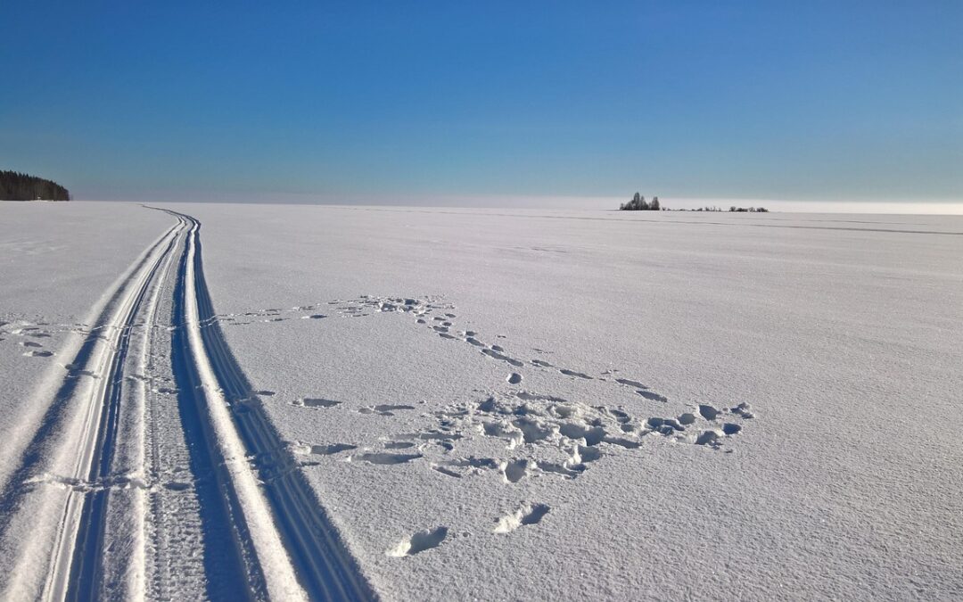 Snowcat Skiing Steamboat Springs Cost / Your Steamboat Springs Adventure…