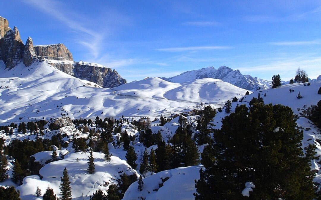 Snowcat Skiing Steamboat Springs Reviews | Get Your Snowcat Adventure…