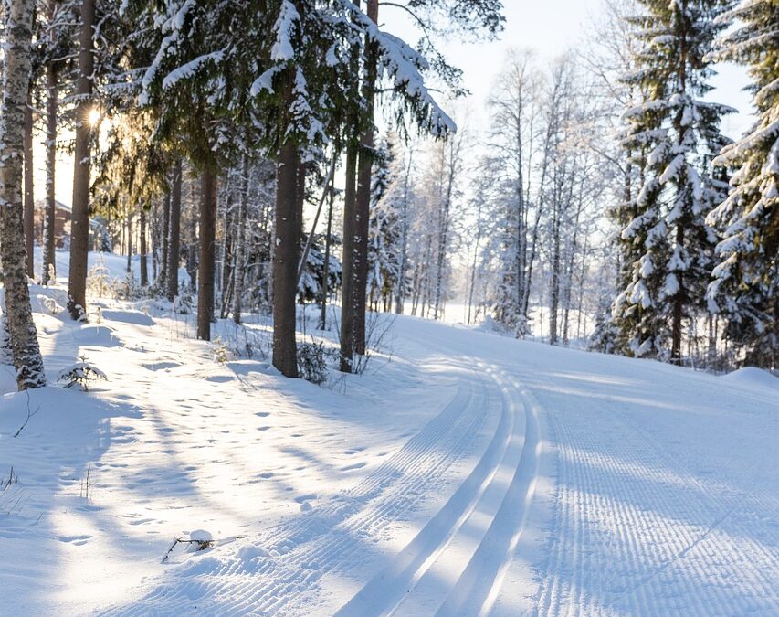 Snowcat Skiing Steamboat Springs » Escape The Crowds And Discover…