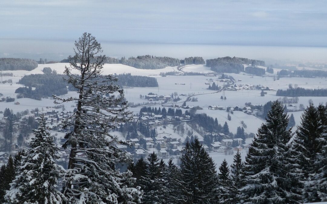 Steamboat Powdercats Backcountry Tours ~ Powder Hounds, Listen Up: Your…