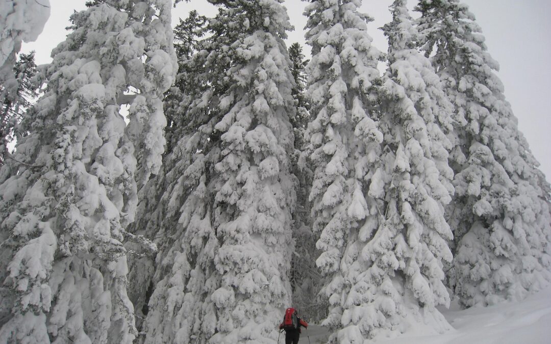 Steamboat Springs Backcountry Snowcat Adventures / Escape To Powder Paradise:…