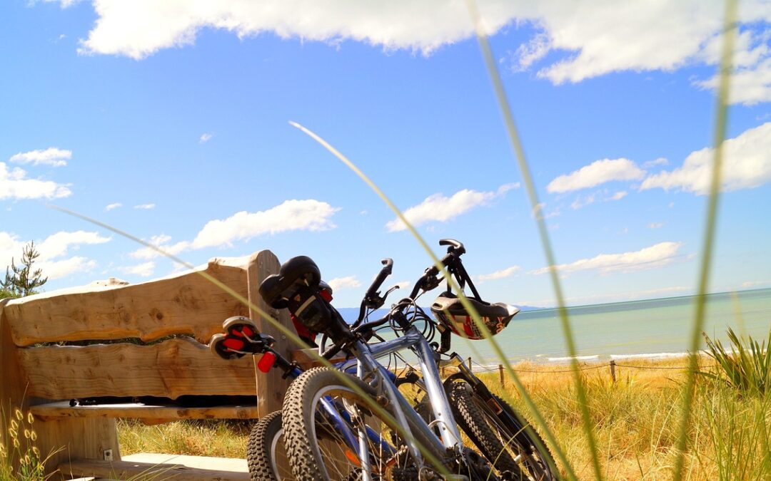 Steamboat Springs Powdercat Tours For Experts / Unleash Your Inner…