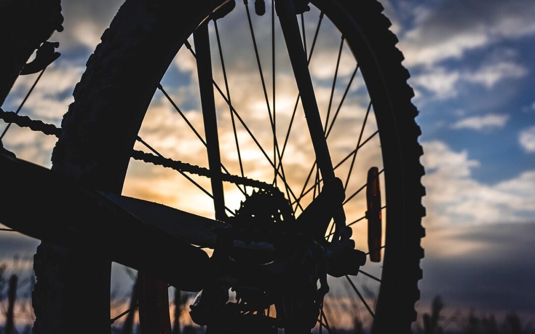 Steamboat Springs Powdercat Tours Reviews 2025 | Ready To Shred…