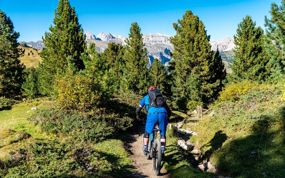 Steamboat Springs Powdercat Tours With Accommodation – Unleash Your Inner…