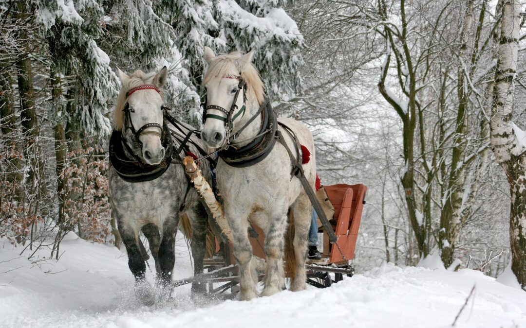 Steamboat Springs Winter Activities / Unleash Your Inner Adventurer: Epic…