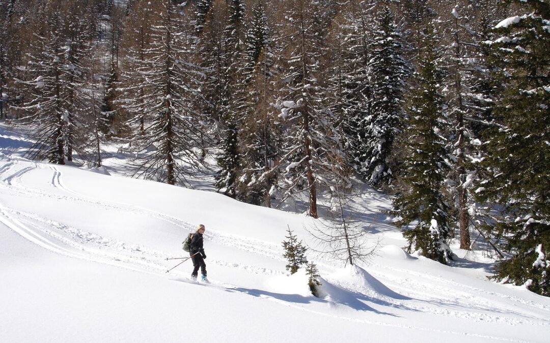 Steamboat Backcountry Skiing ~ Unleash Your Inner Adventurer: Steamboat’s Backcountry…