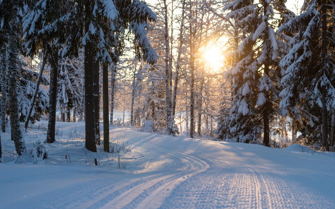 Steamboat Snowcat Skiing Guide ~ Escape To Colorado’s Majestic Mountains:…