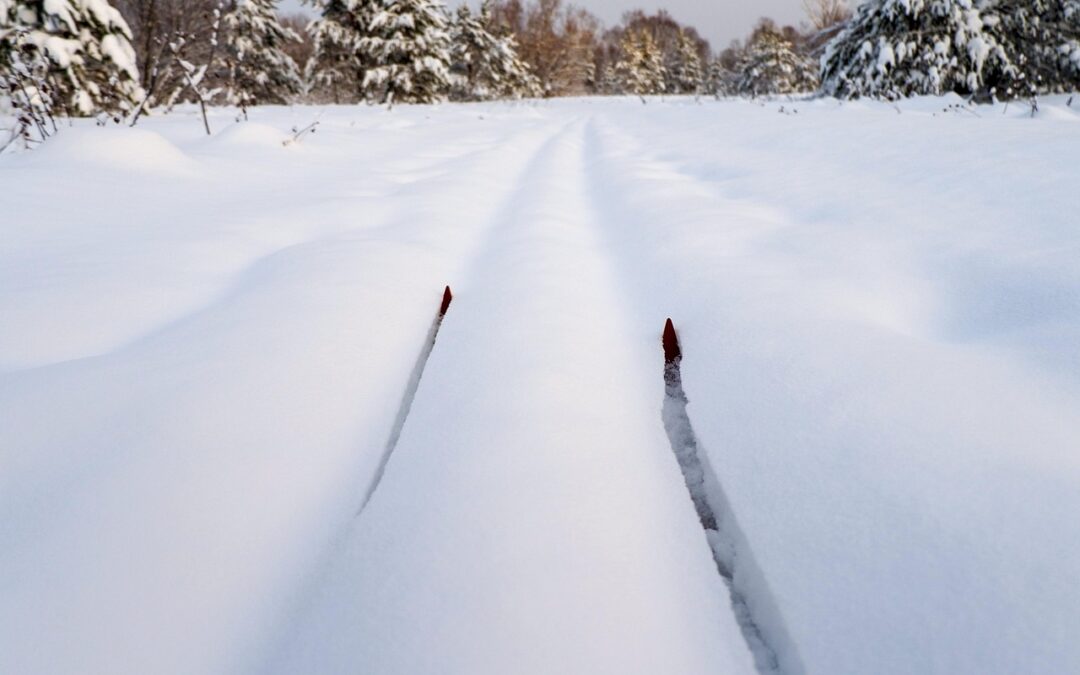 All-inclusive Snowcat Skiing Steamboat Springs | Your Epic Winter Journey…