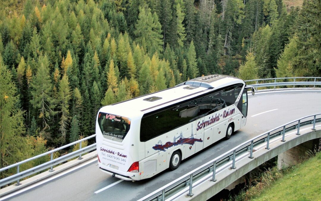 Group Snowcat Tours Steamboat Springs / Ready For A Mountain…