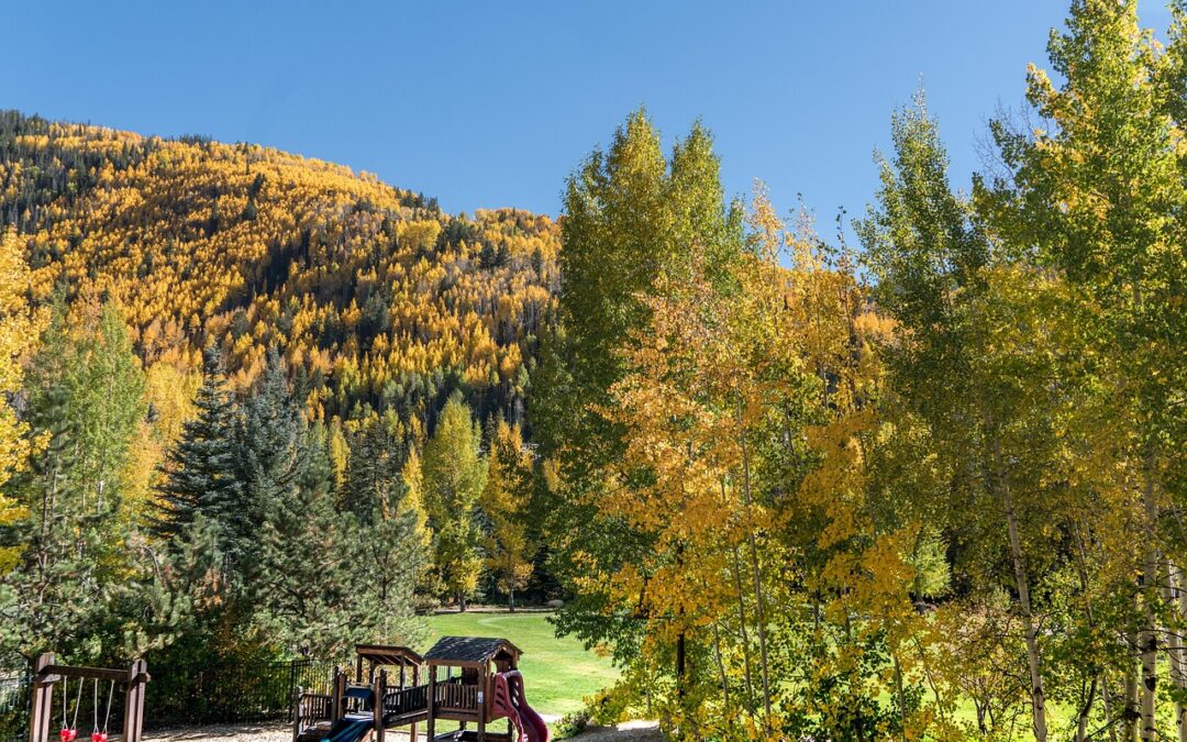 Snowcat Skiing Colorado Rockies: Powder-Chasing Adventures: Snowcat Skiing In The…