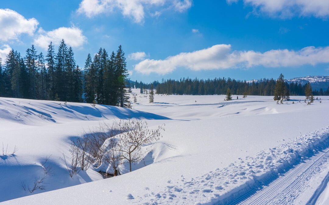 Snowcat Skiing Steamboat Springs Packages: Beyond The Lifts: Your Ultimate…