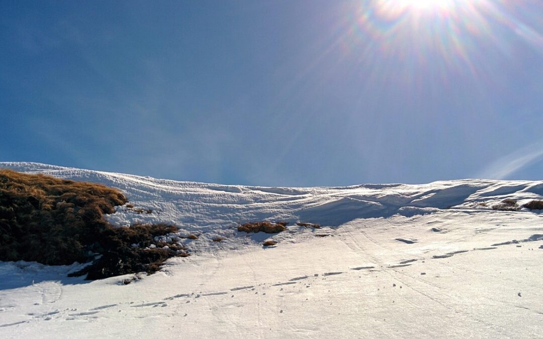 Steamboat Backcountry Skiing / Absolutely! Here’s An Extensive Blog Article…